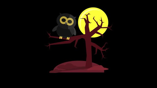 Halloween Night Owl Animated on Black Background - 4K Rendering