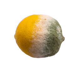 lemon with fungus on it on a transparent background 