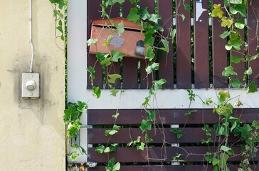 A fence of home with a doorbell and red mailbox with a creeper on it.