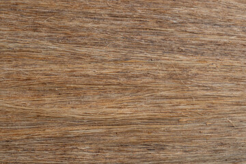 Fototapeta premium straw background