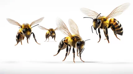 Zelfklevend Fotobehang Honey bees isolated on white background © Vivid Pixels