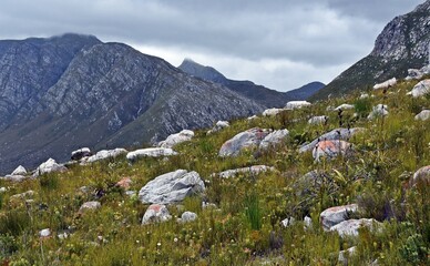 Landscape with the Kogelberg in the Hottentots Holland Mountain Catchment Area