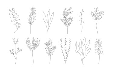 Branch decor line. Linear plant decoration set. Collection of vector coloring pages.