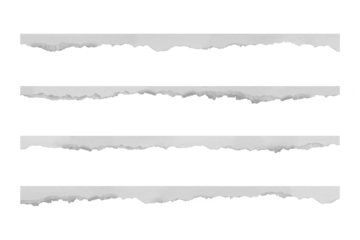 Ripped paper set on transparent background PNG