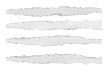 Ripped paper set on transparent background PNG