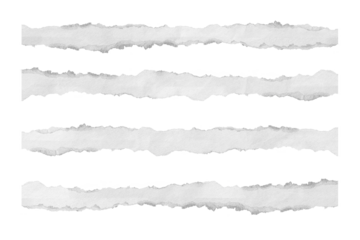 Ripped paper set on transparent background PNG
