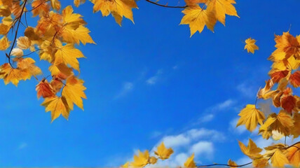 autumn leaves on a blue sky background