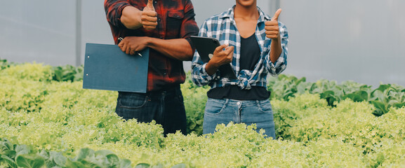 Young Asian woman and senior man farmer working together in organic hydroponic salad vegetable farm. Modern vegetable garden owner using digital tablet inspect quality of lettuce in greenhouse garden. - obrazy, fototapety, plakaty