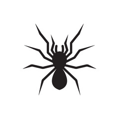 spider icon vector