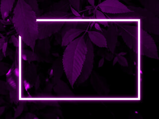 Dark leaves tree background, pink neon light and rectangle shape with horizontal banner.