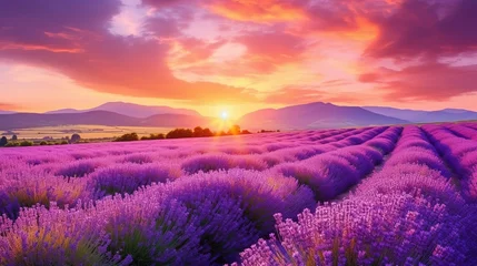 Foto op Canvas Wonderful scenery amazing summer landscape of blooming lavender flowers © Intelligence Studio