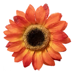 Poster Close-up of an orange and yellow daisy with water drops.  Yellow gerbera flower isolated on transparent background. © Hasibul