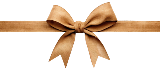 Stylish brown fabric bow, cut out