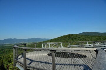 Fototapeta premium Iron construction of a walkway for tourists above the treetops