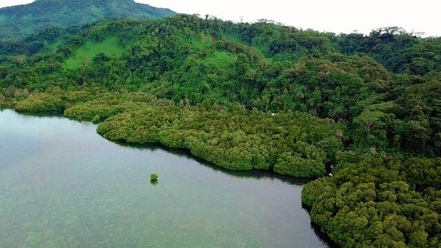 Scenic Aerial Drone Video of the Coastal Mangroves of Pohnpei, Micronesia 