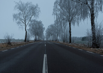 Fototapeta premium road in winter