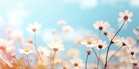 Küchenrückwand glas motiv white daisy blossom flower field with bokeh and glow light, dream like fantasy in misty morning wildflower meadow, Generative Ai © QuietWord