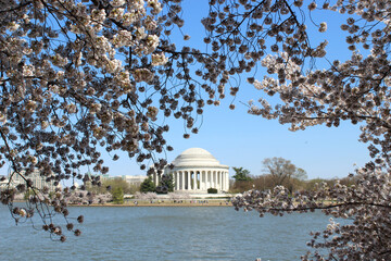 Jefferson Memorial in Spring 