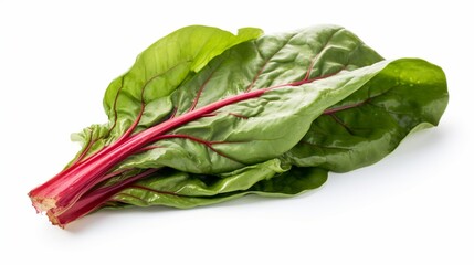 A fresh Swiss chard leaf, its vibrant green and red hues standing out against a bright white environment.