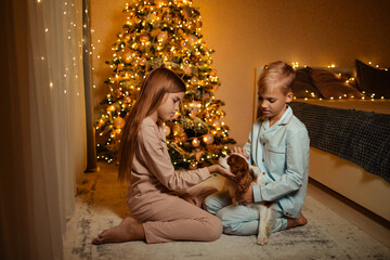 Twins boy and girl, brother and sister, at home waiting for the New Year holiday in the bedroom on...