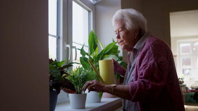 Elderly senior woman watering plants at her home.