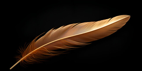  A gold feather luxury background, Glistening Golden Feather on Dark Backdrop, generative AI
