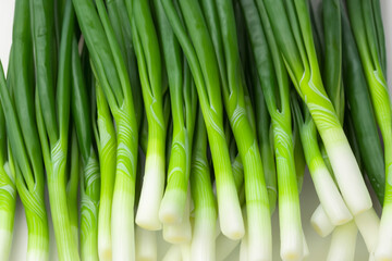 Fototapeta premium green plant. green onions with white bulbs, close-up background. food concept
