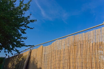 Looking up at garden fence with blue sky