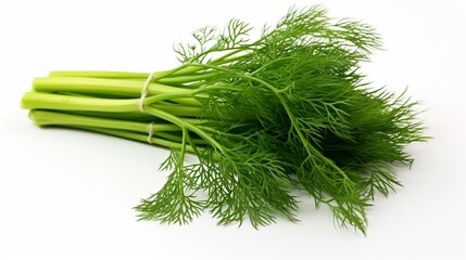 A single bunch of fresh dill, its feathery leaves detailed against a stark white backdrop.