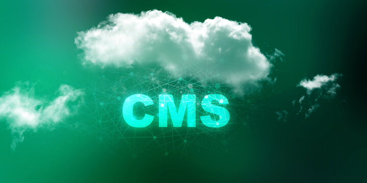 3d rendering cms cloud concept