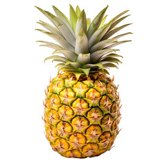Pineapple photograph isolated on white background