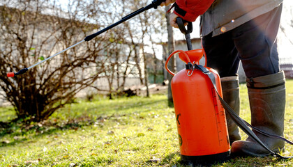 A gardener sprays fruit trees in the garden against pests