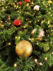 Decorate the Christmas tree with twinkling lights.