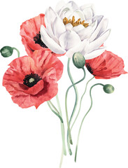Watercolor Bouquet with Red Poppies and Water Lily