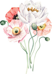 Watercolor Bouquet with Poppies and Water Lily