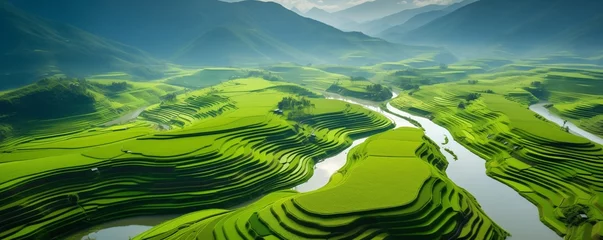 Gordijnen aerial view of a vast and lush rice field © xartproduction