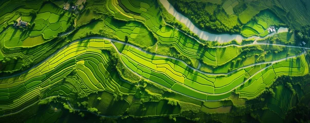 Tafelkleed aerial view of a vast and lush rice field © xartproduction