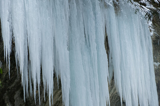 Icicles waterfall. Freezing of water in the river in winter. Majestic icicles hang from the cliff face. Cold winter texture. Atmospheric natural background. The concept of severe frosts, harsh winters
