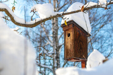 wooden birdhouse in winter, snow covered bird house
