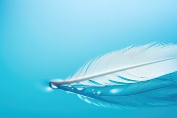 Transparent turquoise water and feather. Delicate dreamy image of the purity of nature.
