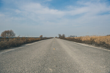 Lonely scenery of an autumn country road
