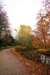 Vibrant nature in Denmark