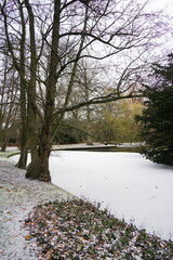 Vibrant nature in Denmark