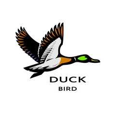 Flying duck logo.