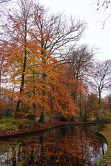 Fototapeta premium Vibrant nature in Denmark