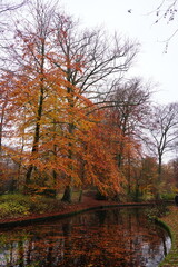 Fototapeta premium Vibrant nature in Denmark