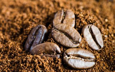 coffee beans and milled coffee, close up