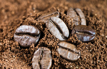 coffee beans and milled coffee, close up