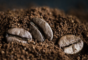 coffee beans and milled coffee, close up