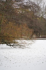 A picture clicked in Copenhagen
